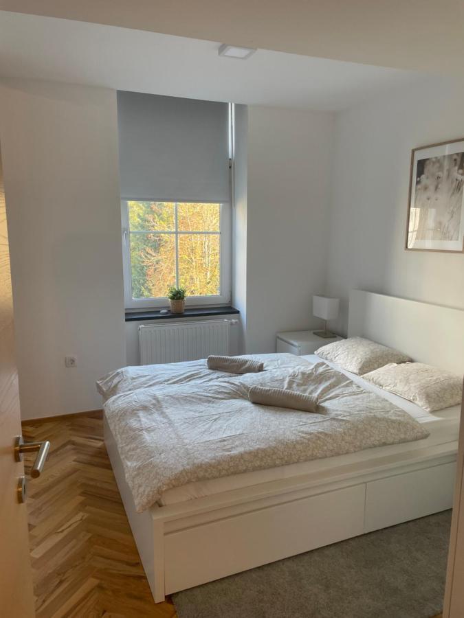 Apartament Casa Park Premium Free Parking Maribor Zewnętrze zdjęcie